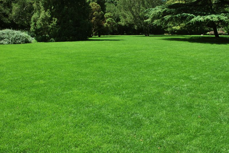 Corporate Lawn Maintenance
