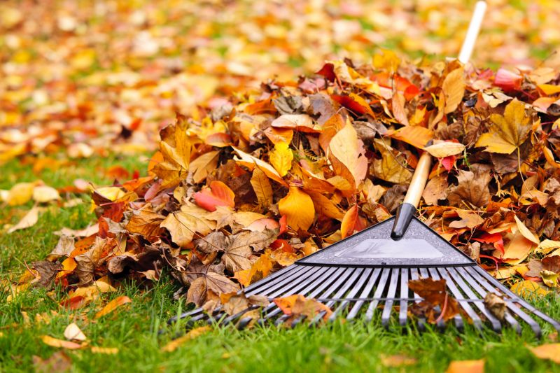 Clean Lawn with Fall Debris