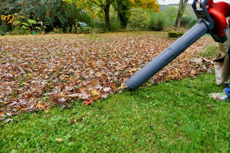 Professional Fall Cleanup Equipment