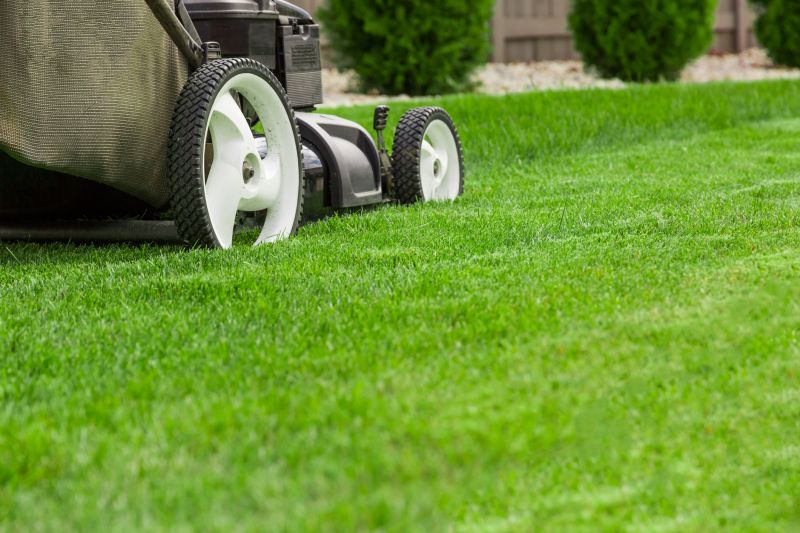 Community Lawn Care Programs