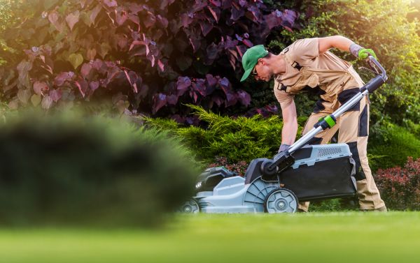 Cost of Lawn Care And Maintenance in Boca Raton