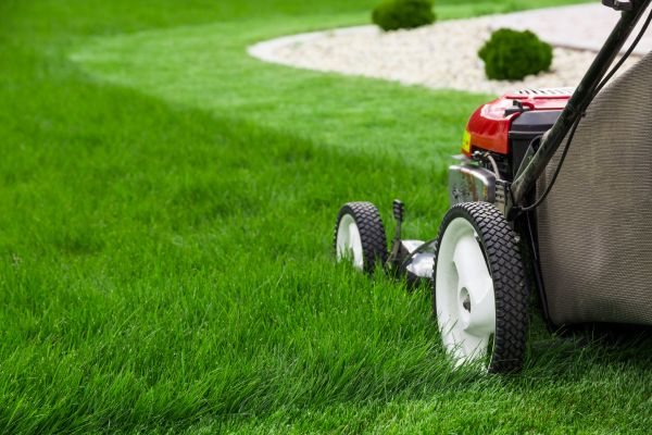 Cost of Mowing Service in Boca Raton