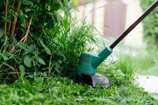 Cost of Weed Whacking in Boca Raton