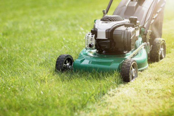 Cost of Yard Cutting in Boca Raton