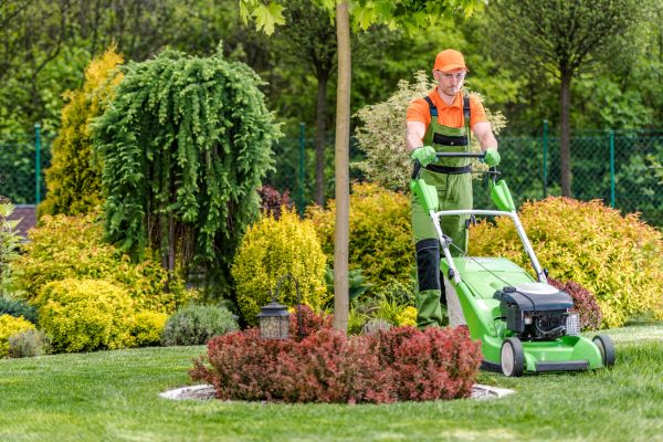 Cost of Yard Service in Boca Raton