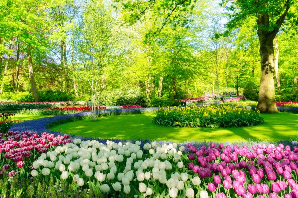 Cost of Spring Lawn Care in Boca Raton