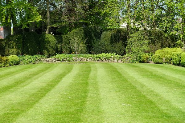 Cost of Grass Care Service in Boca Raton