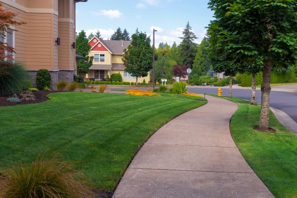Cost of Home Lawn Maintenance in Boca Raton