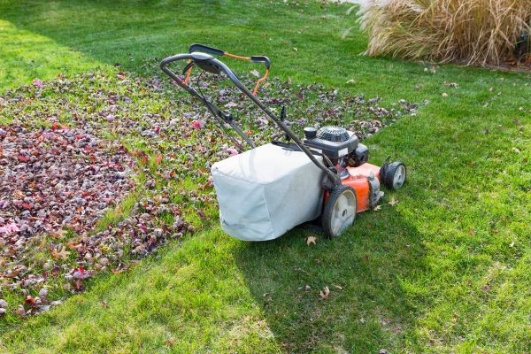 Cost of Seasonal Lawn Care in Boca Raton