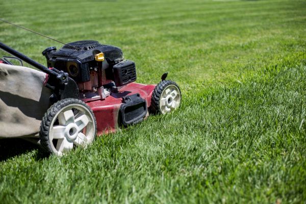 Cost of Routine Lawn Care in Boca Raton