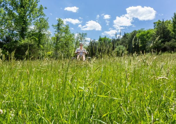 Cost of Long Grass Mowing in Boca Raton