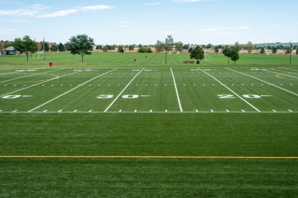Cost of Groundskeeping Service in Boca Raton