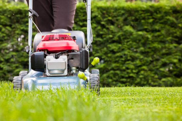 Cost of Grass Trimming Service in Boca Raton