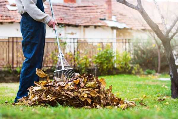 Cost of Routine Lawn Maintenance in Boca Raton