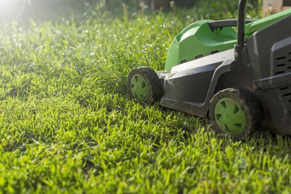 Cost of Lot Mowing in Boca Raton