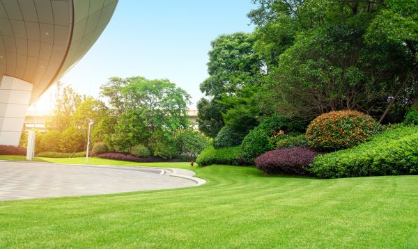 Cost of Business Groundskeeping in Boca Raton