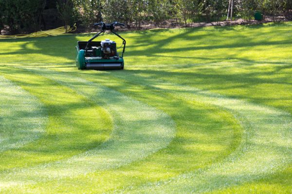 Cost of Business Lawn Mowing in Boca Raton