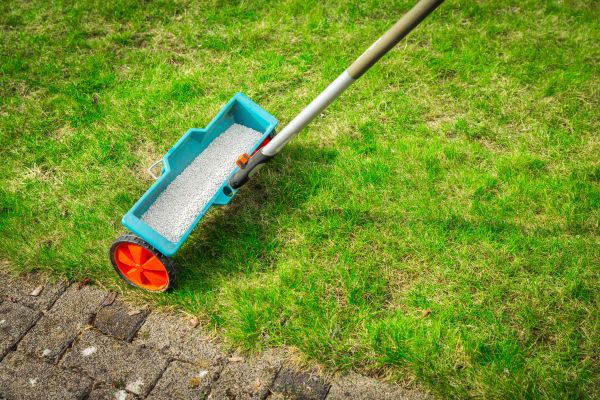 Cost of Commercial Lawn Treatment in Boca Raton