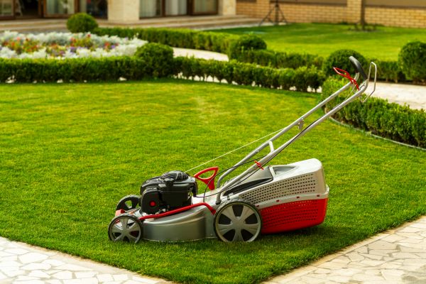 Cost of Business Grass Cutting in Boca Raton