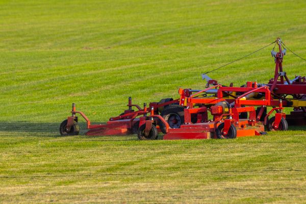 Cost of Industrial Lawn Service in Boca Raton