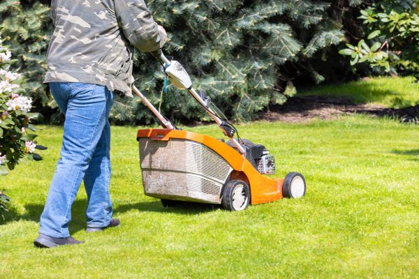 Cost of Springtime Lawn Care in Boca Raton
