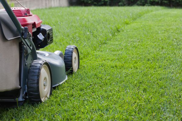 Cost of Spring Lawn Maintenance in Boca Raton