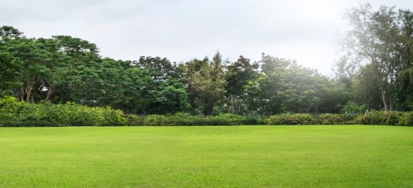 Cost of Golf Course Mowing in Boca Raton