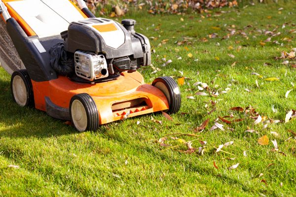 Cost of Fall Mowing in Boca Raton