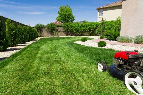 Cost of Residential Lawn Mowing in Boca Raton